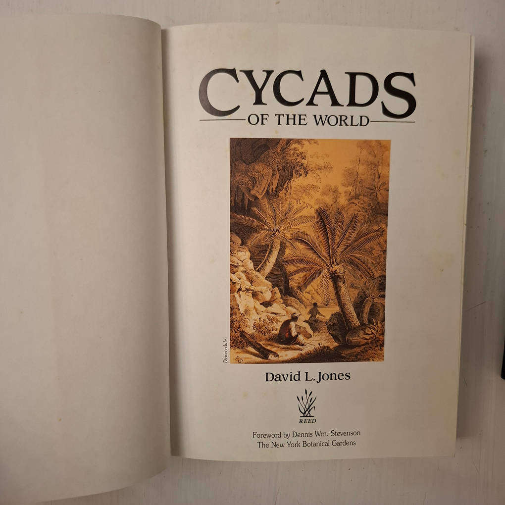 Cycads of the World - Ancient Plants in Today's Landscape (David L. Jones)