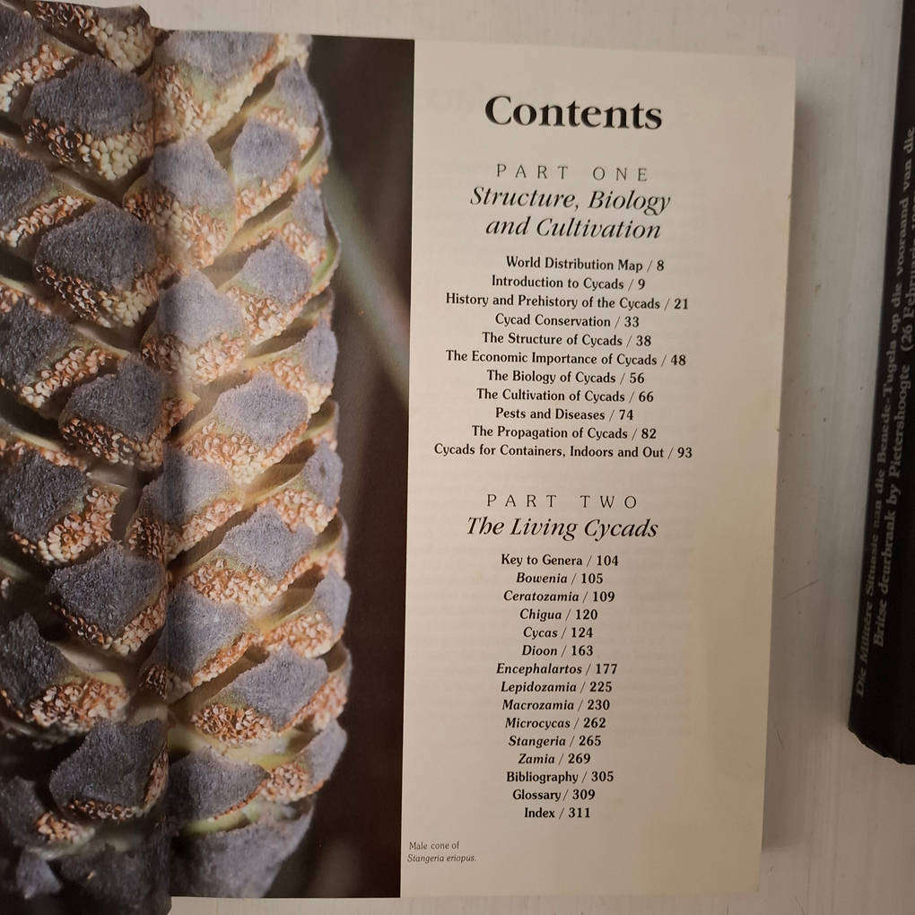 Cycads of the World - Ancient Plants in Today's Landscape (David L. Jones)