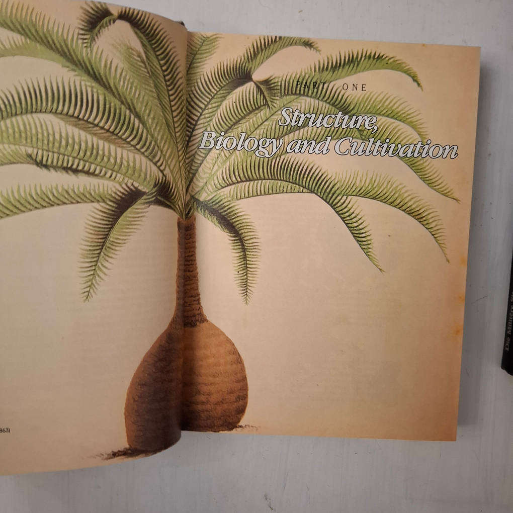 Cycads of the World - Ancient Plants in Today's Landscape (David L. Jones)