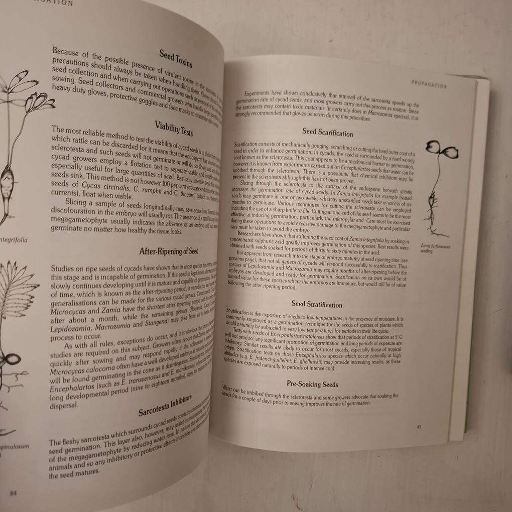 Cycads of the World - Ancient Plants in Today's Landscape (David L. Jones)