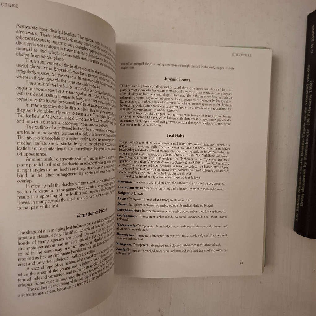 Cycads of the World - Ancient Plants in Today's Landscape (David L. Jones)