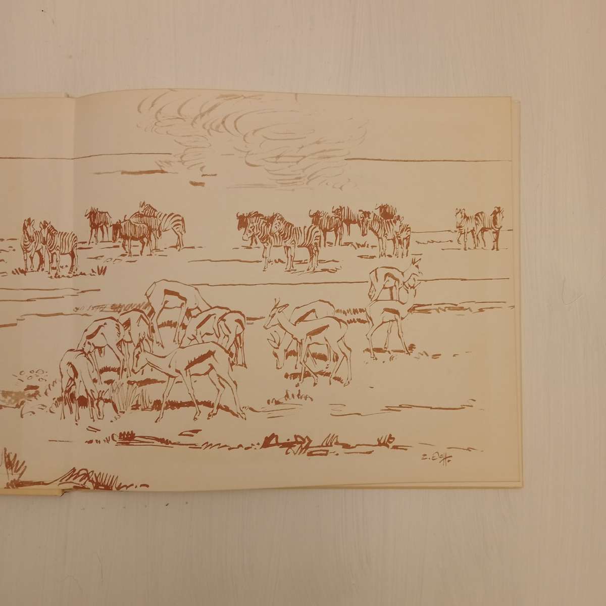 Animal Art of Etosha. Tierkunst von Etoscha. Dierekuns van Etosha