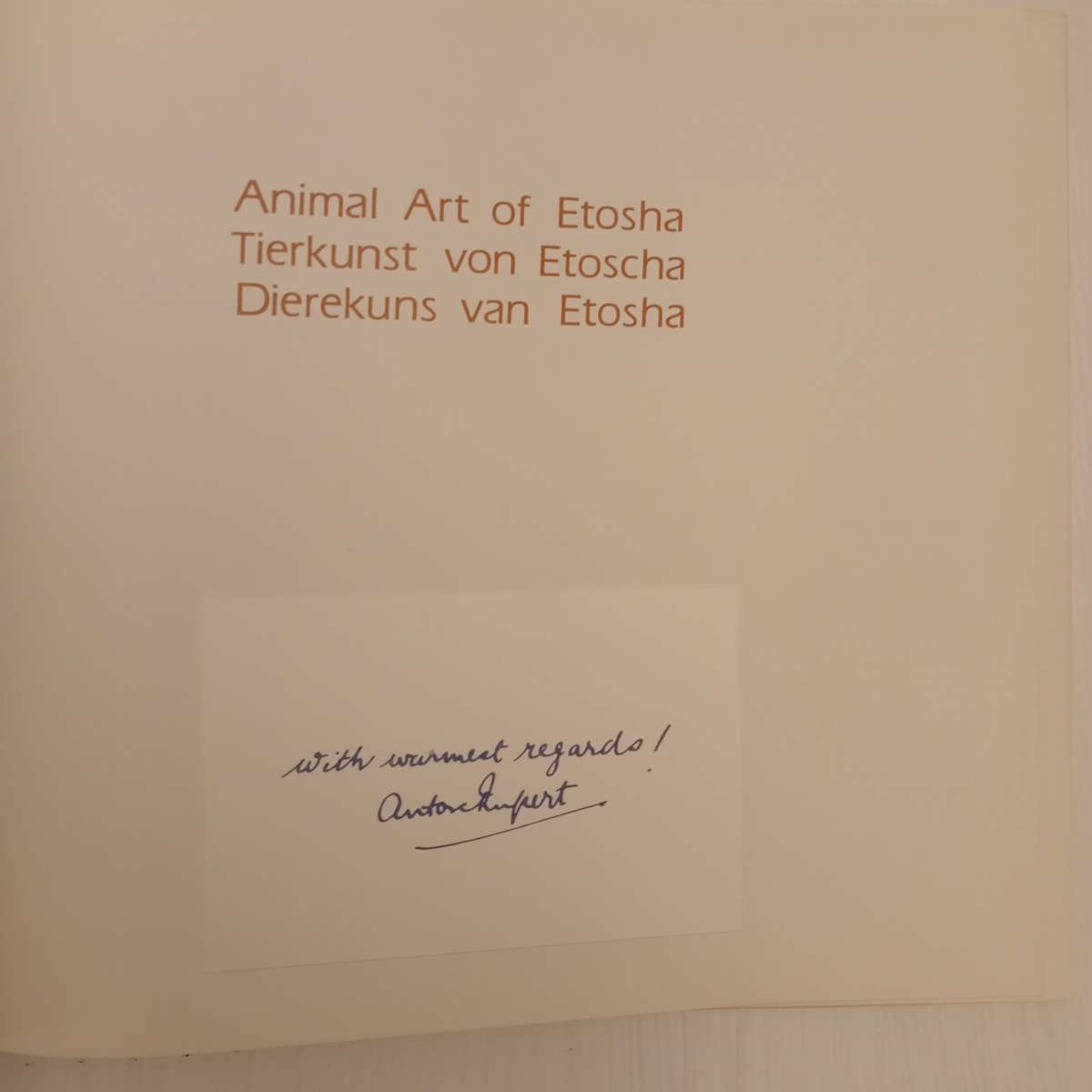 Animal Art of Etosha. Tierkunst von Etoscha. Dierekuns van Etosha