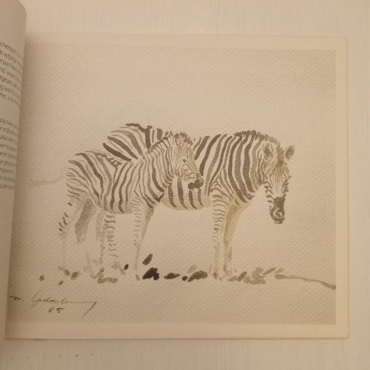 Animal Art of Etosha. Tierkunst von Etoscha. Dierekuns van Etosha