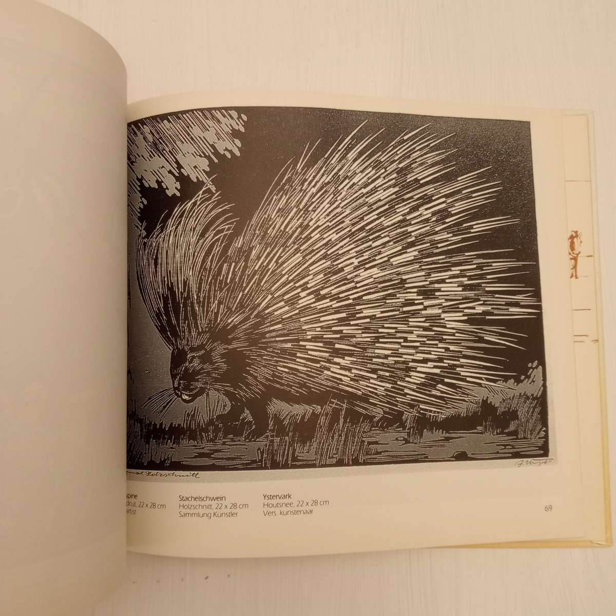 Animal Art of Etosha. Tierkunst von Etoscha. Dierekuns van Etosha