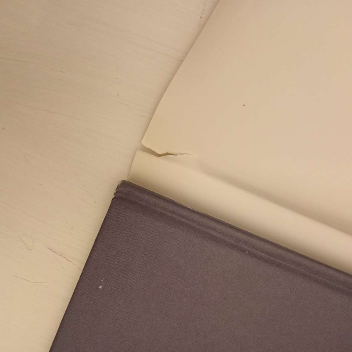 A Brush With Cricket : Richie Ryall Benefit Year July 1991 - July 1992 (Signed by the author Richie