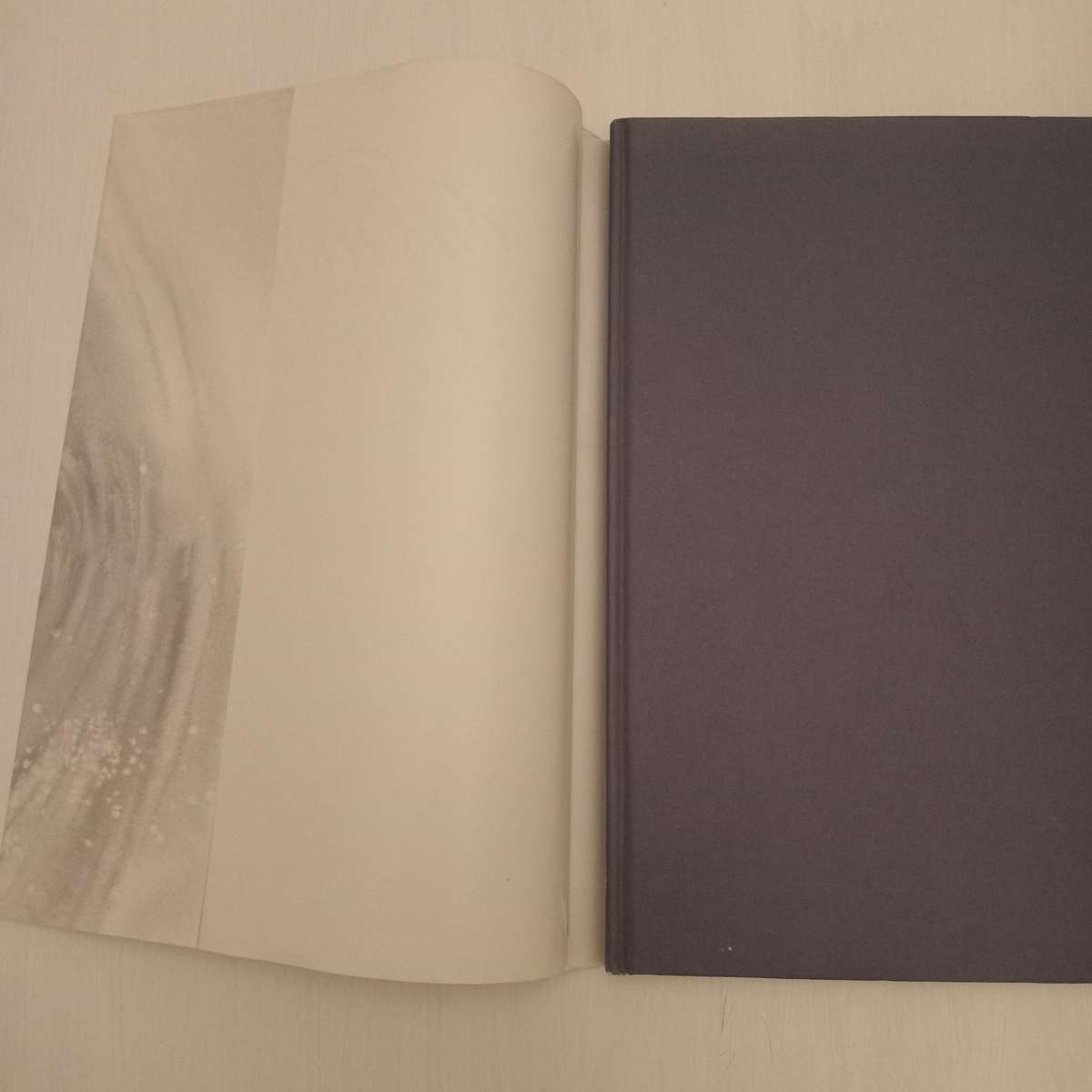 A Brush With Cricket : Richie Ryall Benefit Year July 1991 - July 1992 (Signed by the author Richie