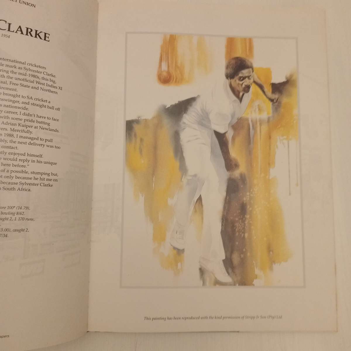 A Brush With Cricket : Richie Ryall Benefit Year July 1991 - July 1992 (Signed by the author Richie