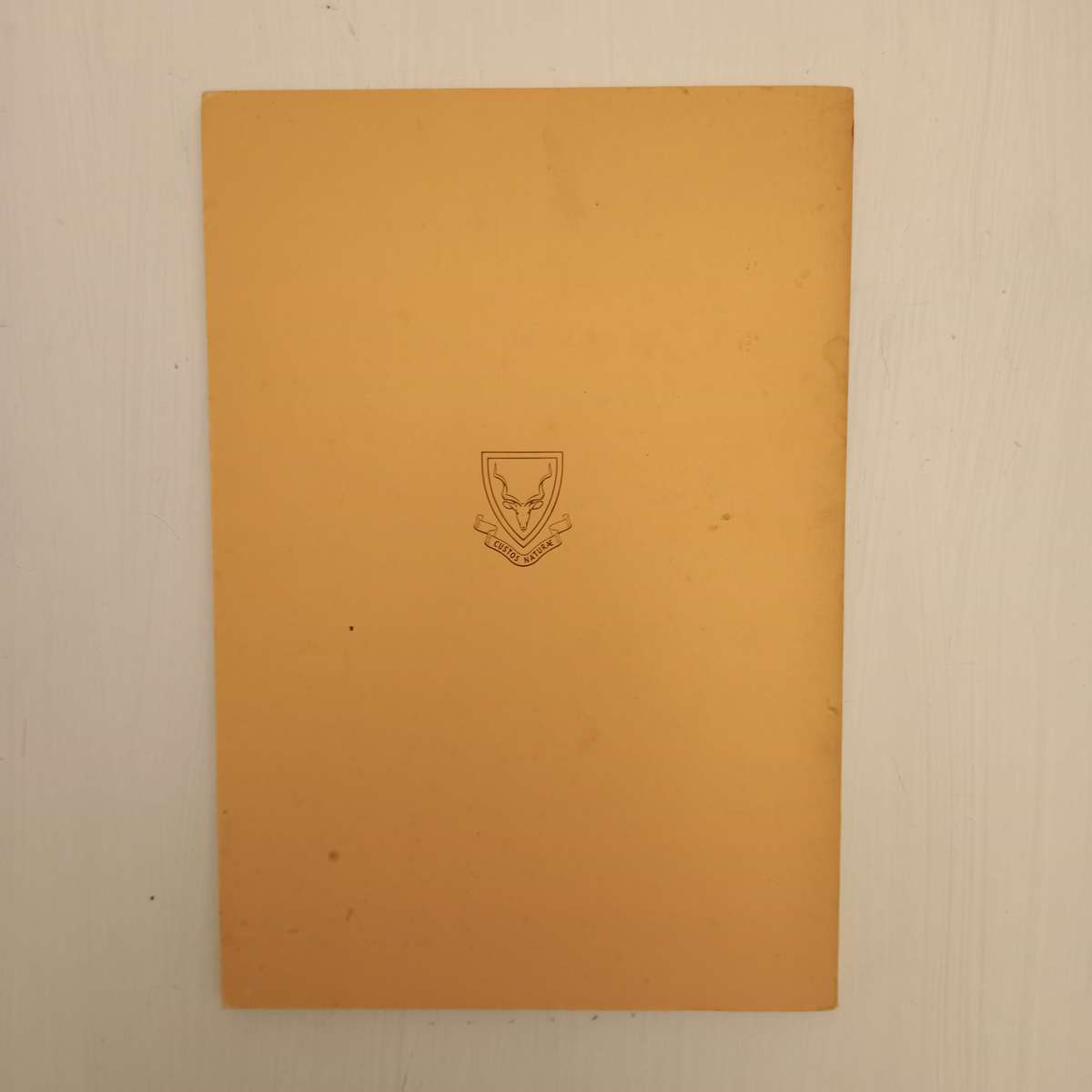 CLEARANCE! The butterflies of the Kruger National Park