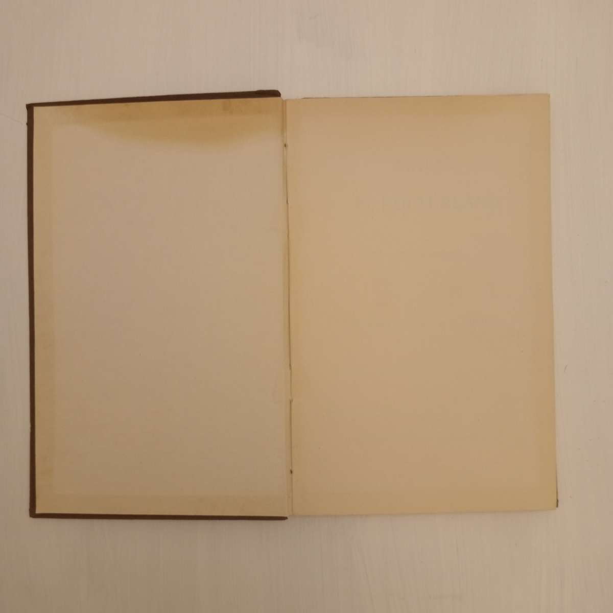 Malice in Kulturland / by Horace Wyatt , with illustrations by W. Tell