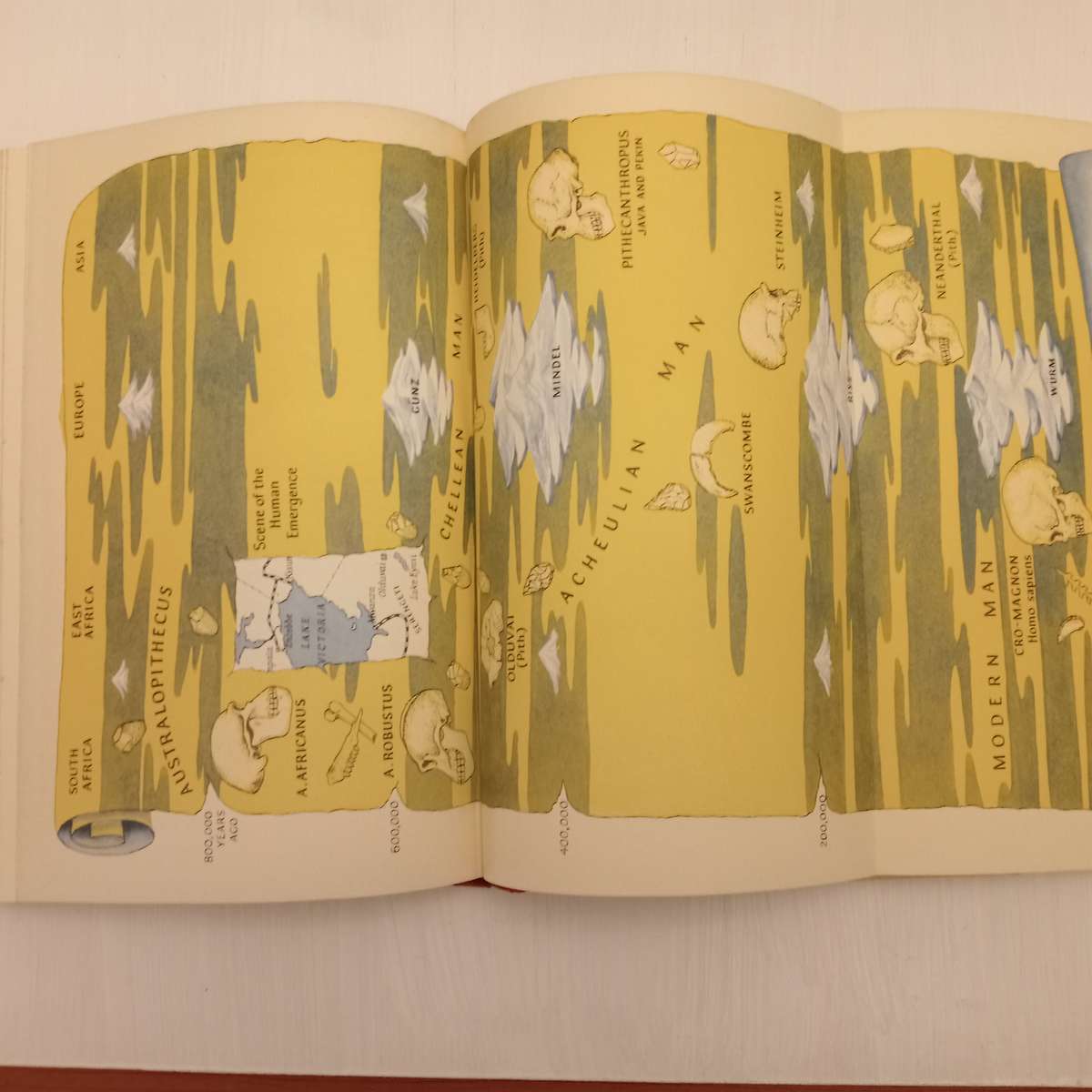 African Genesis: A Personal Investigation into the Animal Origins and Nature of Man (Robert Ardrey)