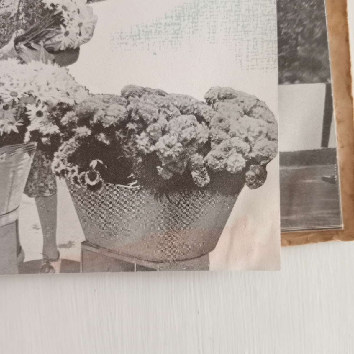 City of Cape Town. Royal Visit 1947. This Souvenir Brochure is produced for the cooperation of the C