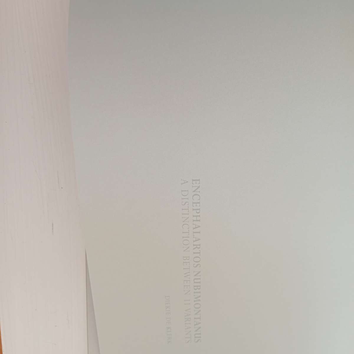 Encephalartos nubimontanus - a distinction between 11 variants - Dr. Diekie de Klerk