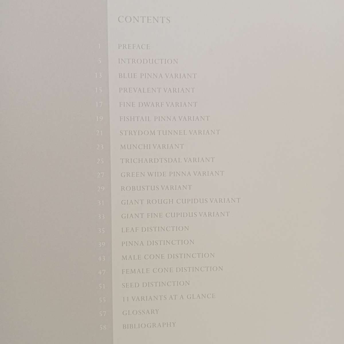 Encephalartos nubimontanus - a distinction between 11 variants - Dr. Diekie de Klerk