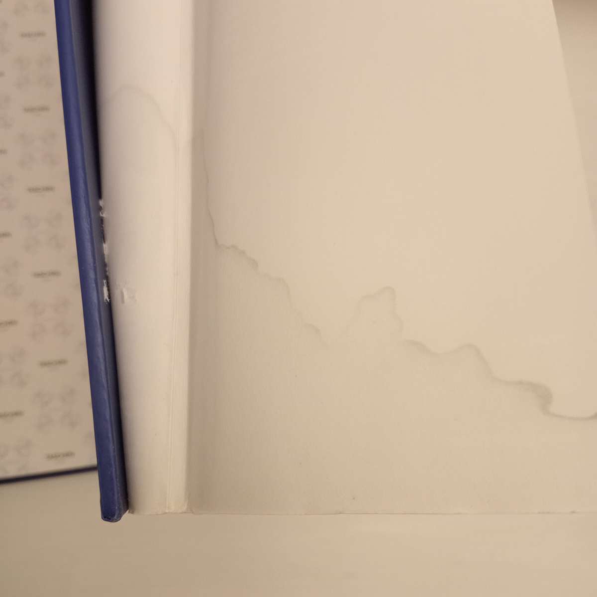 Gaudi 1852-1926: Antoni Gaudi I Cornet: A Life Devoted to Architecture - Rainer Zerbst