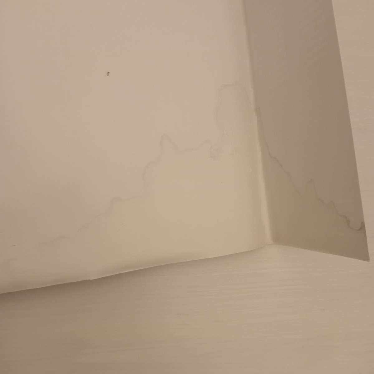 Gaudi 1852-1926: Antoni Gaudi I Cornet: A Life Devoted to Architecture - Rainer Zerbst