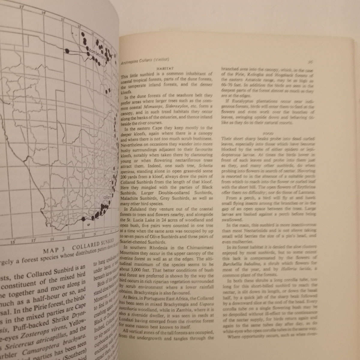 Sunbirds of Southern Africa: Also Sugarbirds, White-Eyes, and the Spotted Creeper (C.J. Skead)