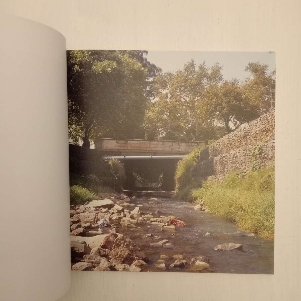 Our Land Ons Land: catalogue - The Pierneef Station Panels Revisited (Carl Becker, Monique Pelser)