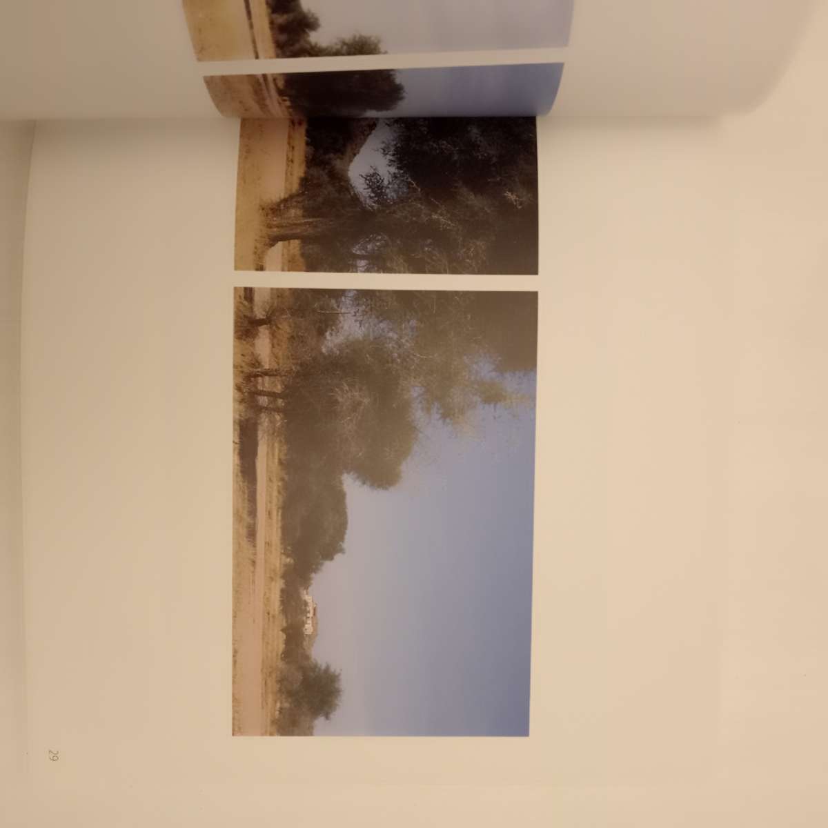 Our Land Ons Land: catalogue - The Pierneef Station Panels Revisited (Carl Becker, Monique Pelser)