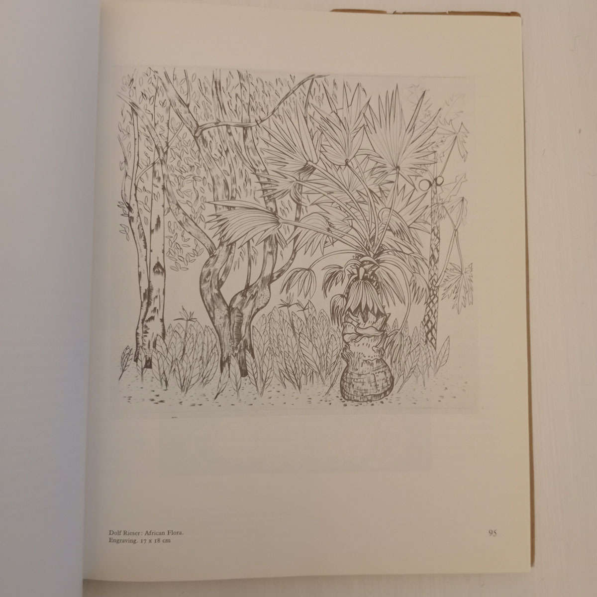 South African graphic art and its techniques