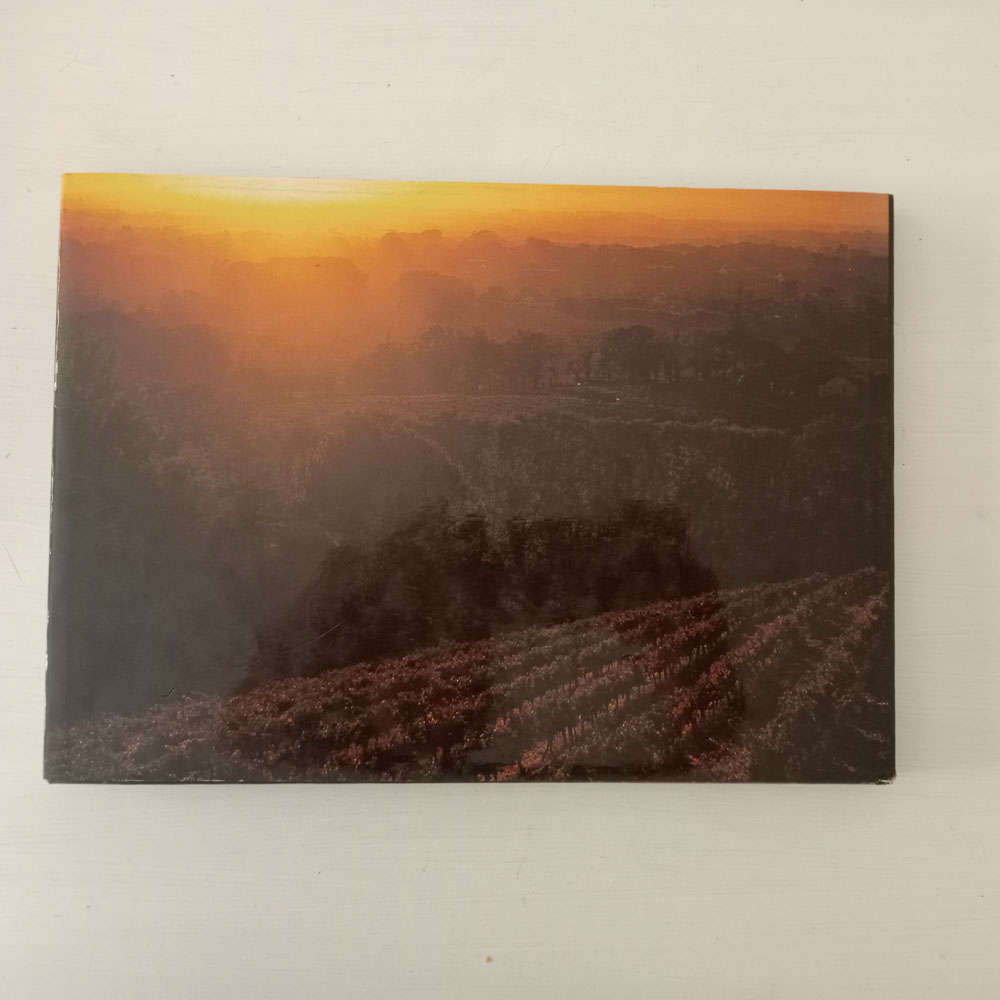 The Great Houses of Constantia (Dane, Philippa : Wallace, Sydney-Anne)