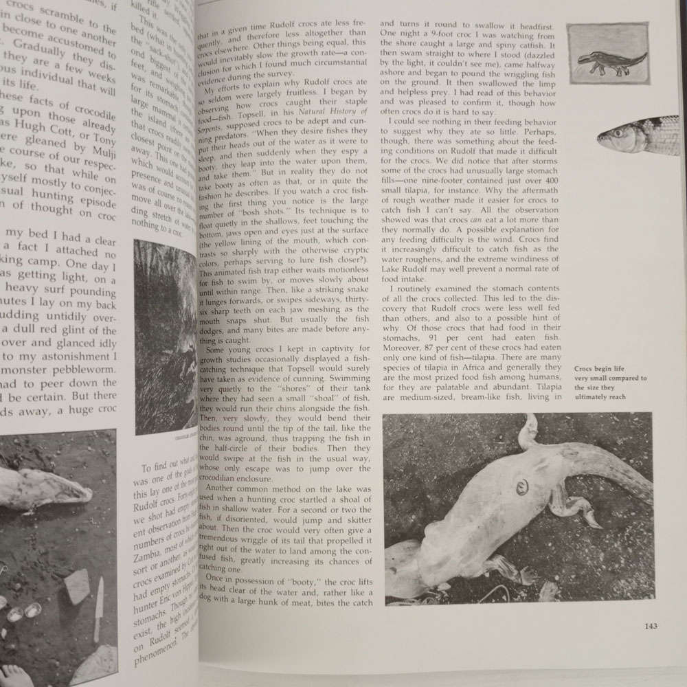 Eyelids of Morning: The Mingled Destinies of Crocodiles and Men (Alistair Graham, Peter Beard)