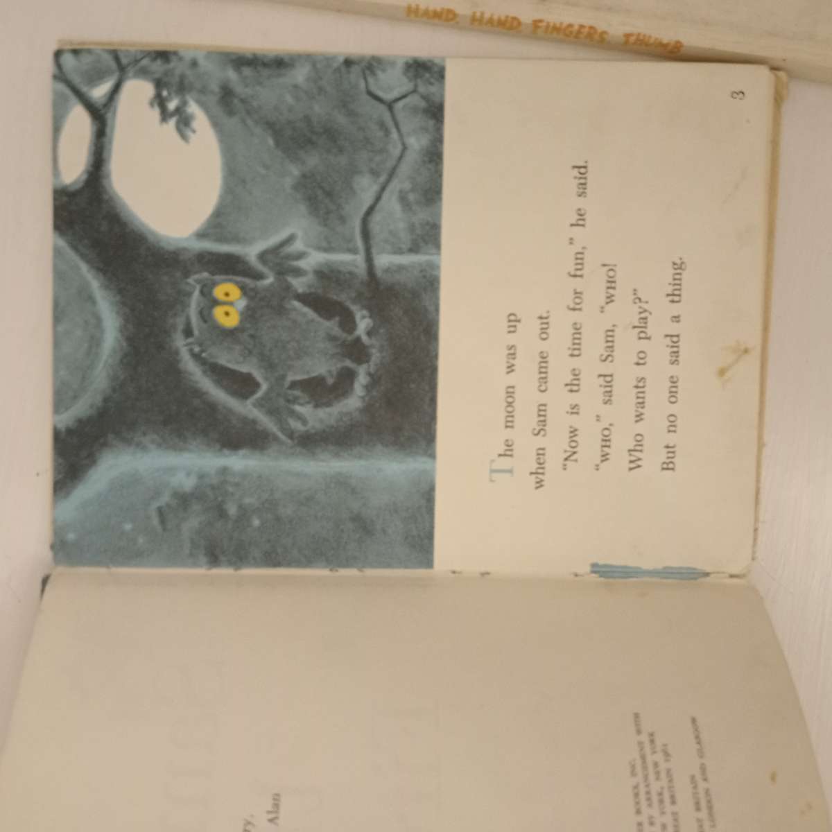 2 X Beginner Beginner books (bid for all)