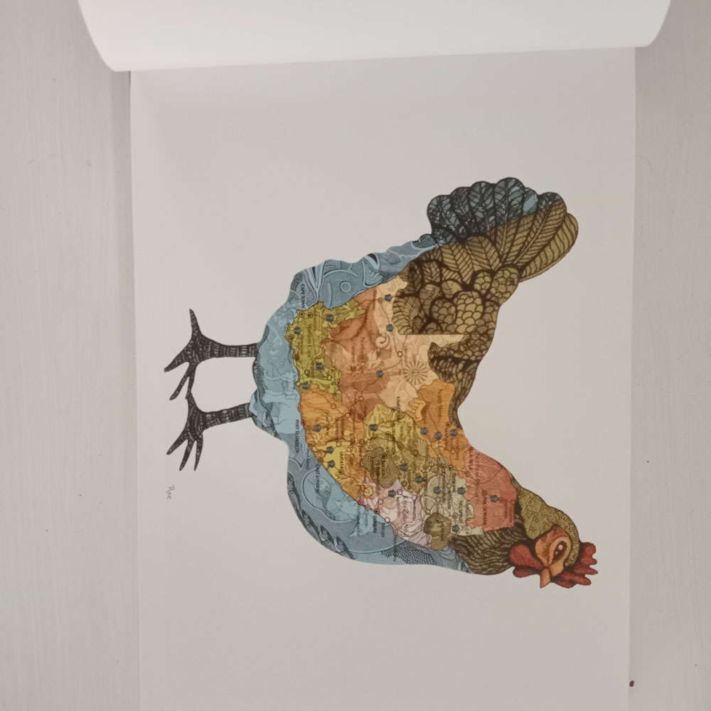 African Salad: A Portrait of South Africans at Home (Engelbrecht, Stan, de Beer, Tamsen)