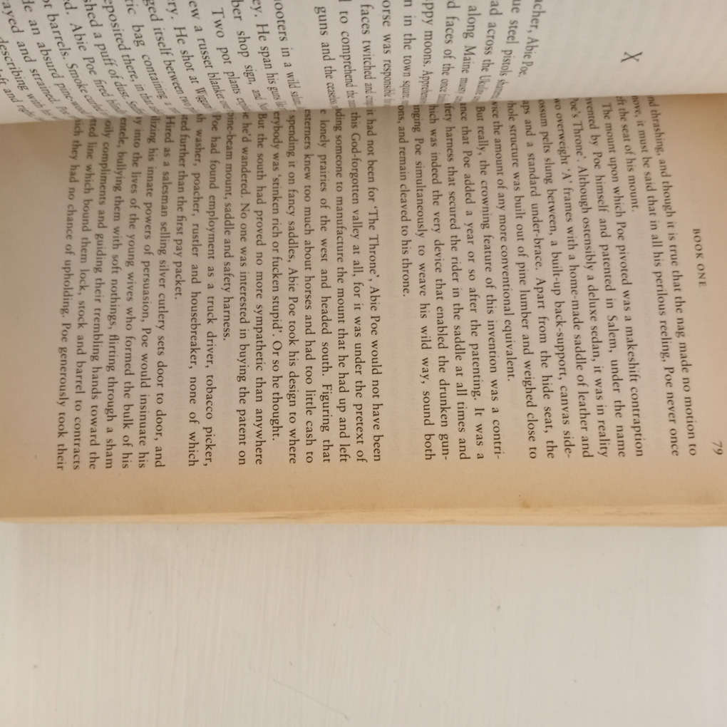 And the Ass Saw the Angel (Nick Cave)