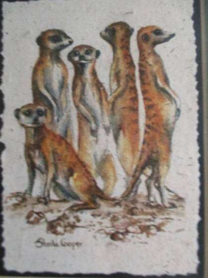 Charming Meerkat family on hand made dung paper framed in naturally foraged genuine Yellowwood frame