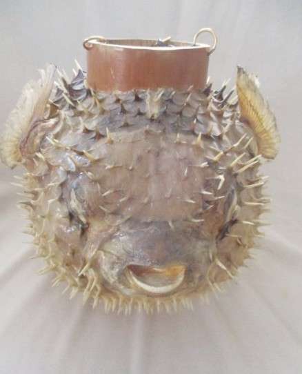 1. Original decor!  Awesome very large vintage REAL Puffer fish/blowfish  (convert to lamp?)