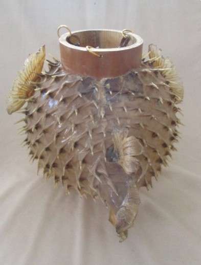 1. Original decor!  Awesome very large vintage REAL Puffer fish/blowfish  (convert to lamp?)