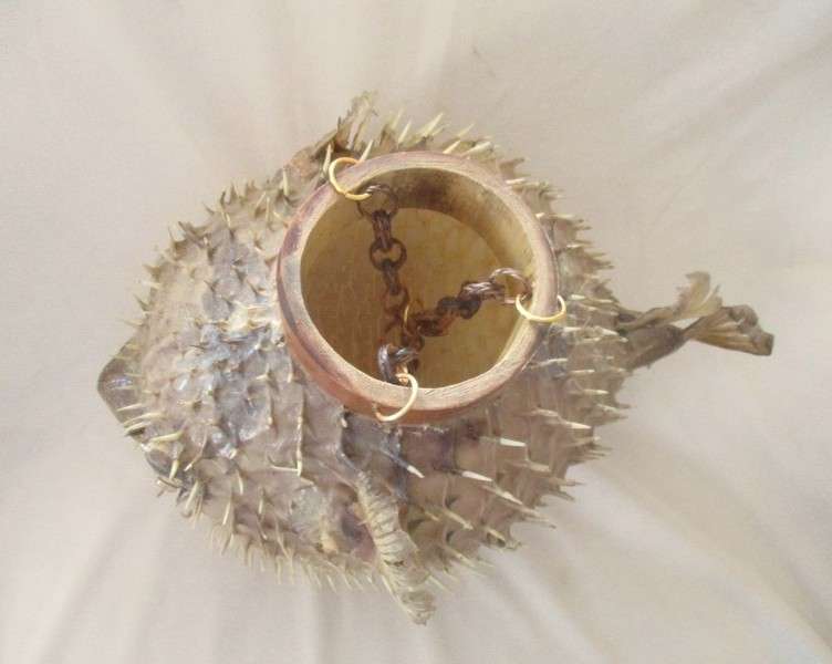 1. Original decor!  Awesome very large vintage REAL Puffer fish/blowfish  (convert to lamp?)