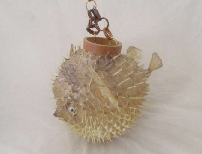 2. Original decor!  Awesome vintage REAL Puffer fish/blowfish to display or convert to lamp