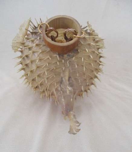 2. Original decor!  Awesome vintage REAL Puffer fish/blowfish to display or convert to lamp