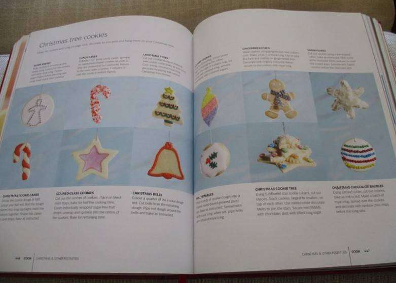 Big, thick cookbook - How to Cook Absolutely Everything - tons of photos!