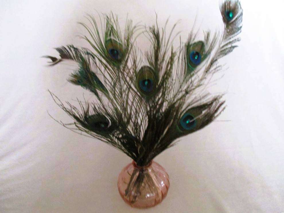 A beautiful display!!  Eighteen natural Peacock feathers in a glass vase