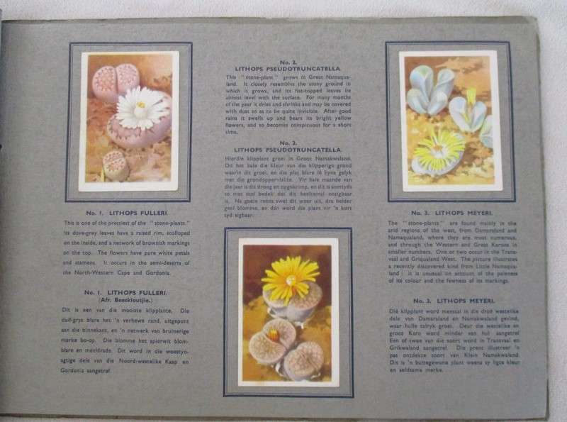 Two vintage 1930's/40's cigarette card albums - complete
