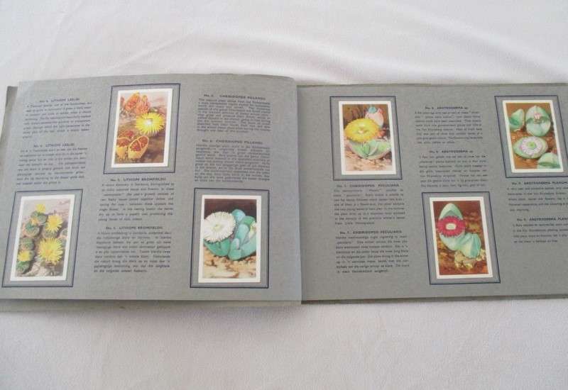Two vintage 1930's/40's cigarette card albums - complete