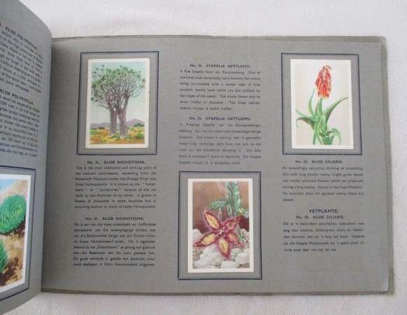 Two vintage 1930's/40's cigarette card albums - complete