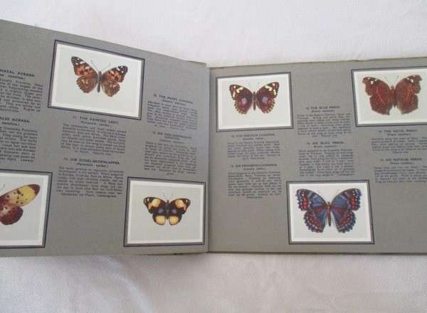 Two vintage 1930's/40's cigarette card albums - complete