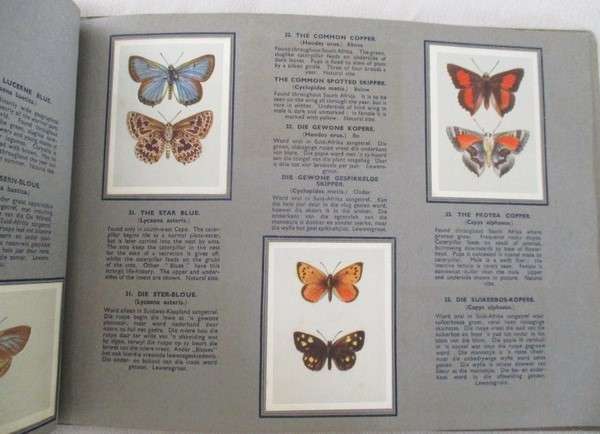 Two vintage 1930's/40's cigarette card albums - complete
