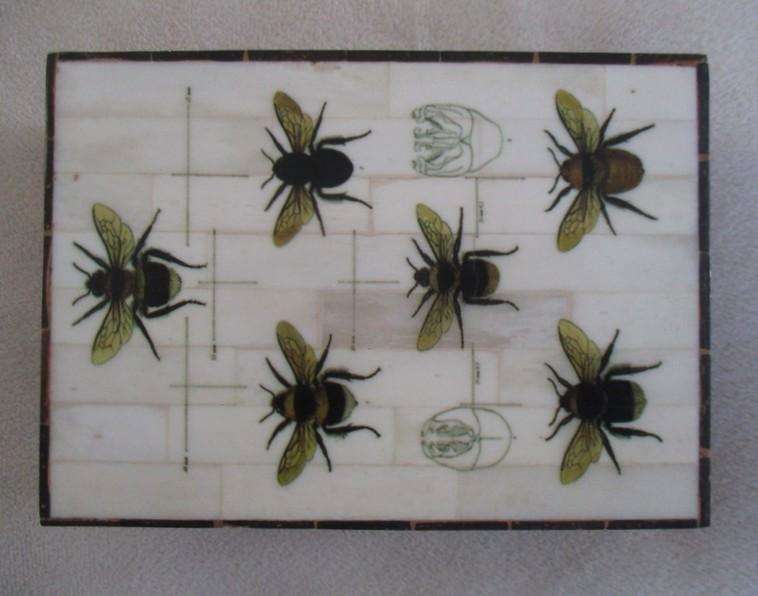 Indonesian hand painted bee box with bone and coconut husk "mosaic" tiles - unique!!