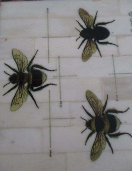 Indonesian hand painted bee box with bone and coconut husk "mosaic" tiles - unique!!