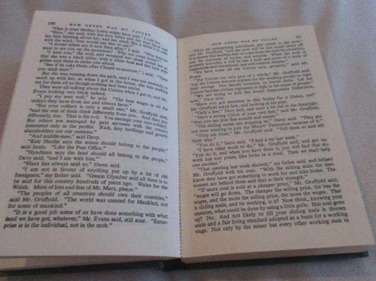 Poignant, lyrical book - How Green was my Valley by Richard Llewellyn