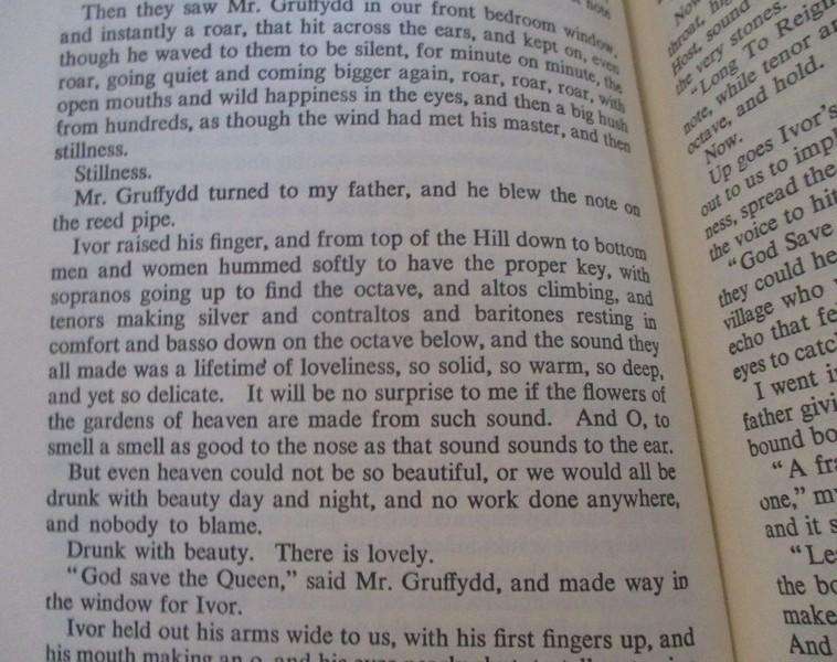 Poignant, lyrical book - How Green was my Valley by Richard Llewellyn