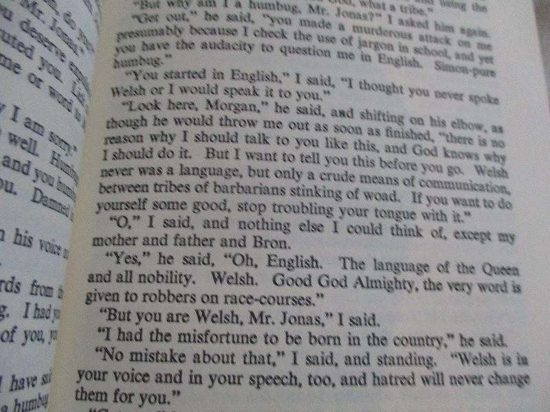 Poignant, lyrical book - How Green was my Valley by Richard Llewellyn