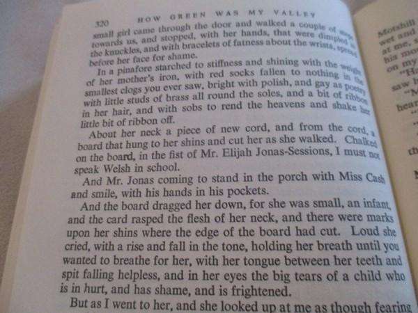 Poignant, lyrical book - How Green was my Valley by Richard Llewellyn