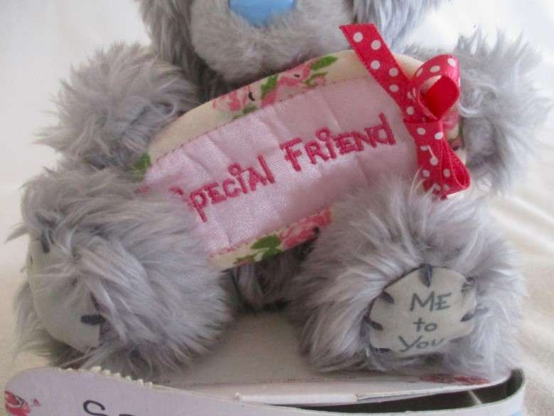 Cute "Me to You" Tatty teddy - Special friend - still on card