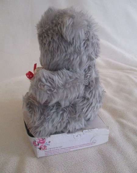 Cute "Me to You" Tatty teddy - Special friend - still on card